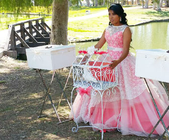 romeros-white-doves-white-doves-for-quinceaneras-sweet-sixteen